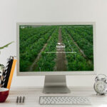 kaybeeexports